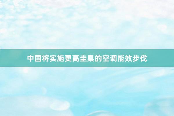 中国将实施更高圭臬的空调能效步伐